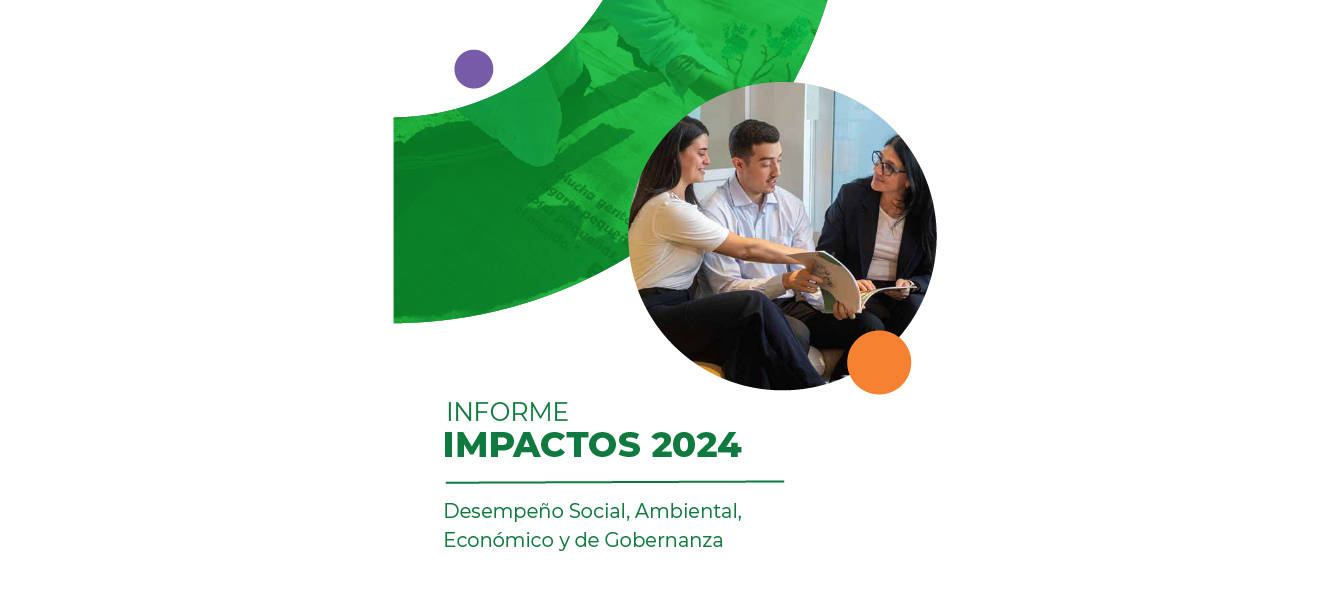 INFORME DE IMPACTOS 2024