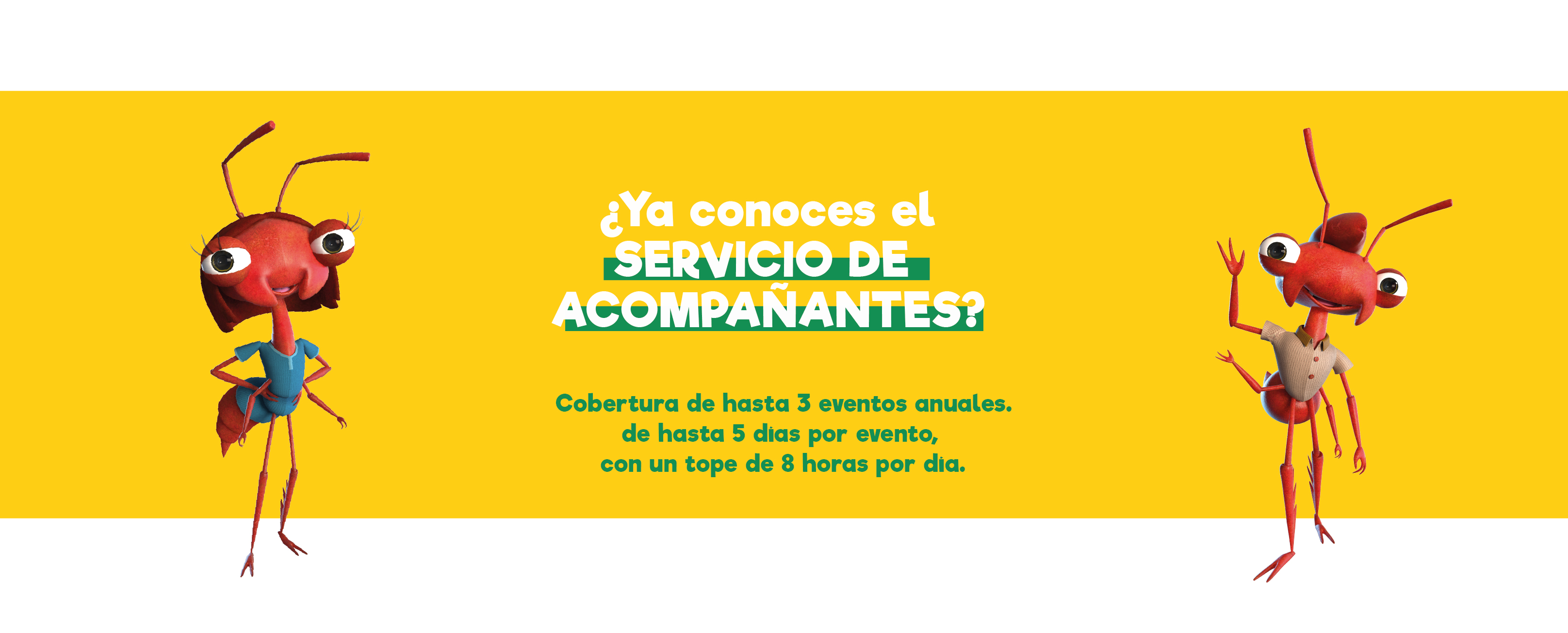 SERVICIO DE ACOMPAÑANTES