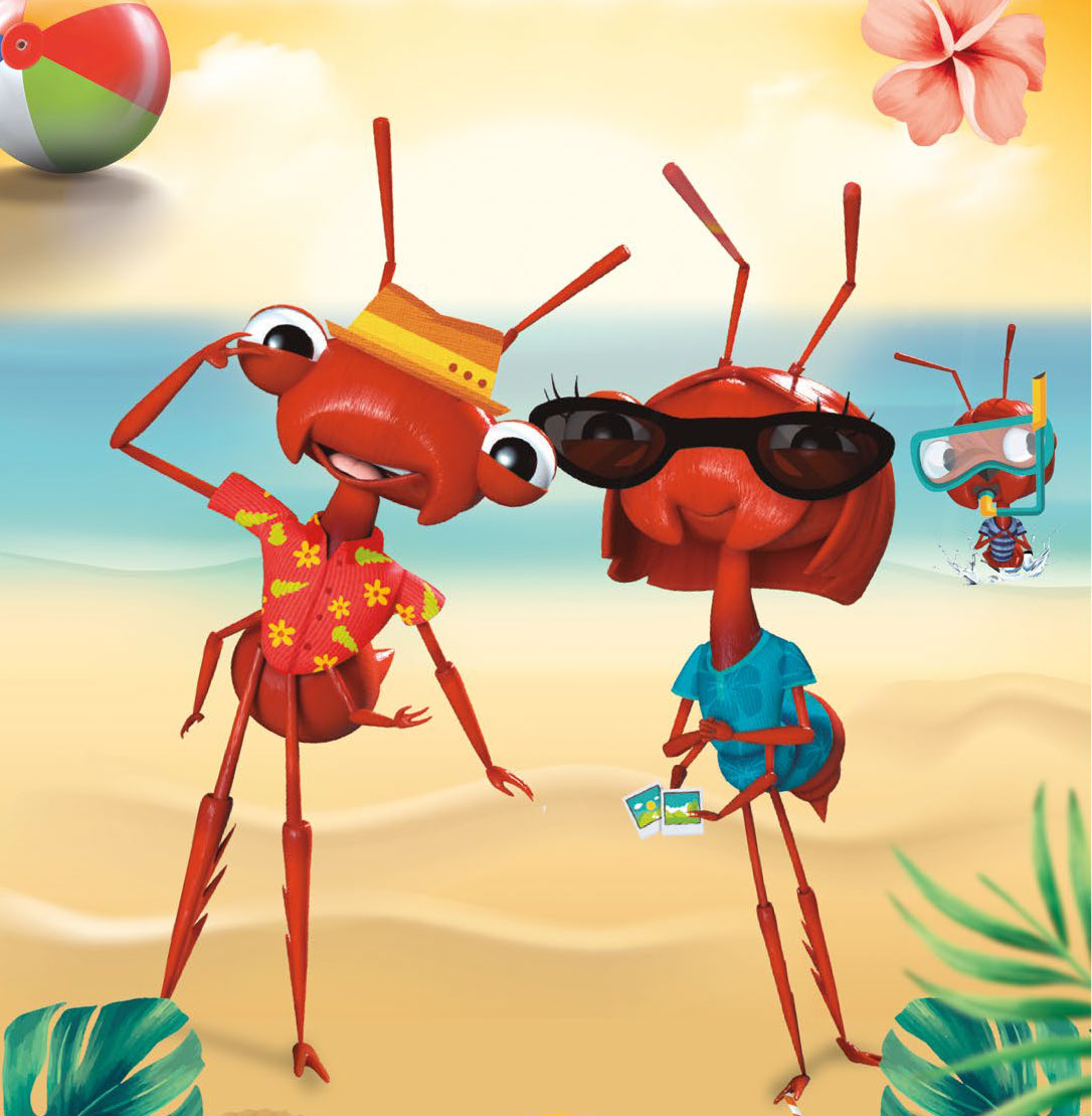 FLORIANOPOLIS FULL 8 DIAS